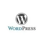 wordpress icon image webp file